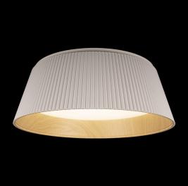 Потолочный светильник Loft IT Evans 10224 White