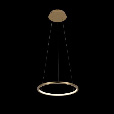 Подвесной светильник Loft IT Ring 10014S