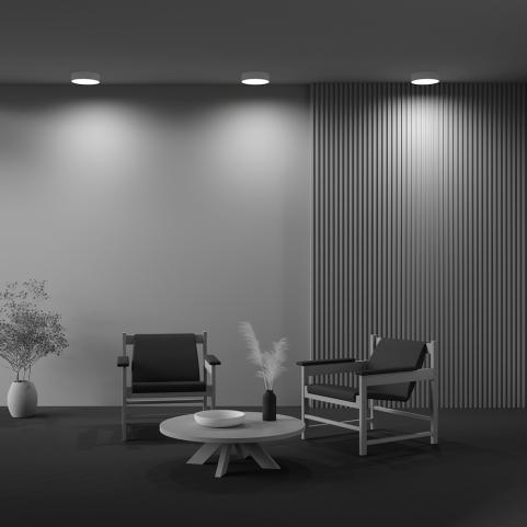 Потолочный светильник Maytoni Technical Ceiling 4000K Zon C032CL-24W4K-RD-W