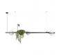 Подвесной светильник Loft IT Jardin 10121/C