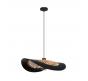 Светильник подвесной Arte Lamp Woodstock  A7059SP-1BK