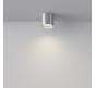 Точечный светильник Maytoni Polar  C088CL-GX53-S